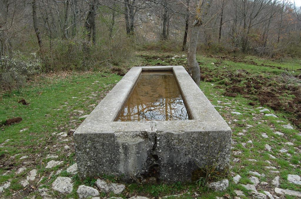 Fontanili del Lazio